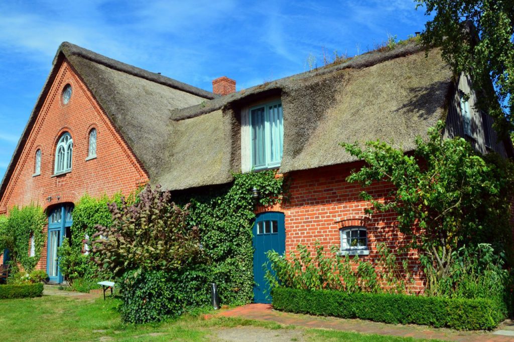 Thatched Insurance - The Home Insurer